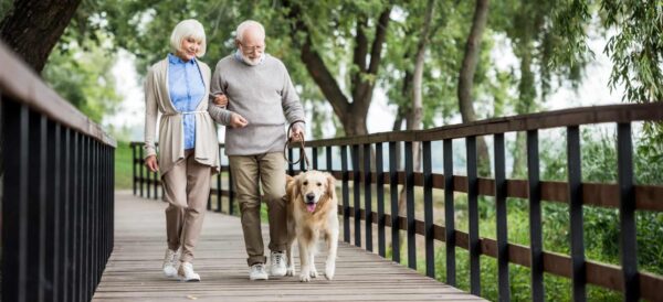 Promoting Physical Activity in Older Adults - North River Home Care