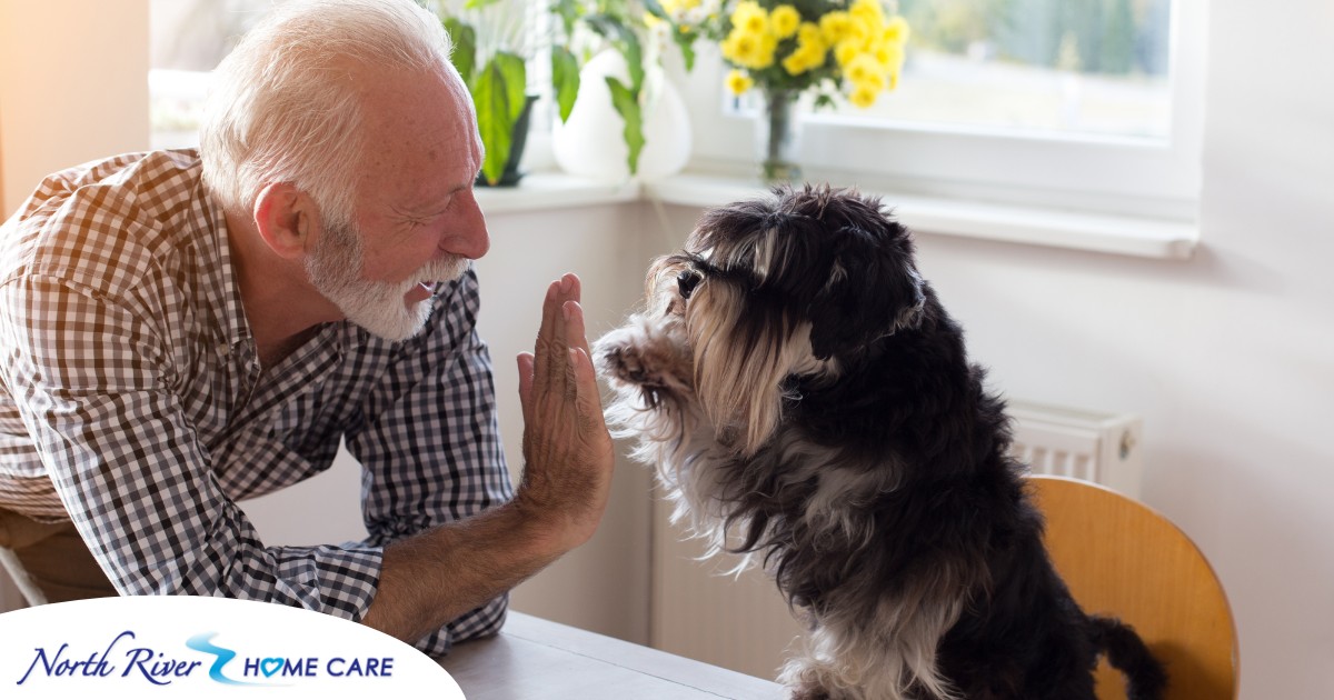 A senior man “high-fives” his pet dog, showing the type of close relationship professional caregivers should be aware of when caring for clients.