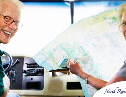 Cultural Escapes: Enriching Day Trips for Seniors