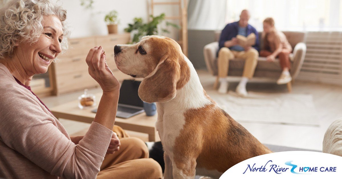 An older woman smiles while giving a dog a treat, representing the joy that dogs can bring.