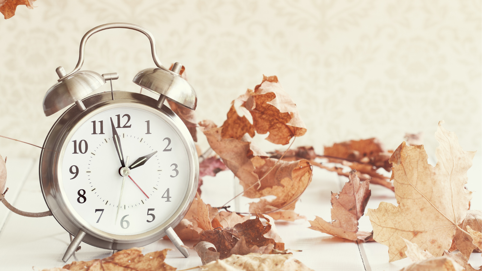 older adults seniors daylight savings time helping prepare and navigate