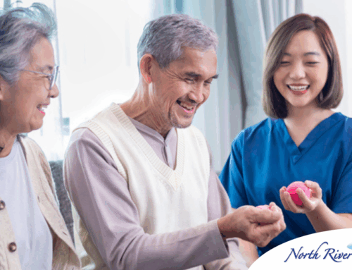 Arthritis and Aging: How Home Care Services Can Ease Daily Discomfort